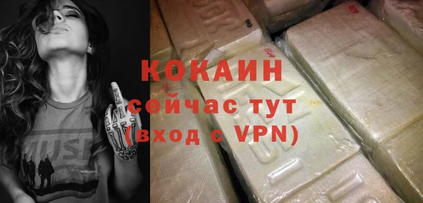 прущий лед Алзамай