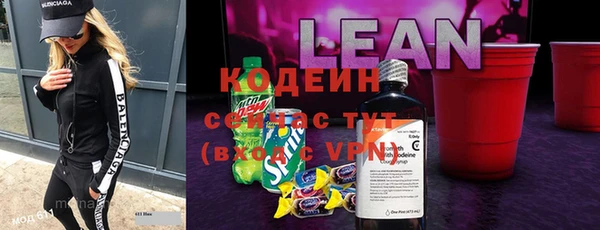 прущий лед Алзамай