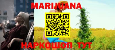 индика Обь