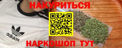 индика Обь