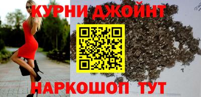 индика Обь