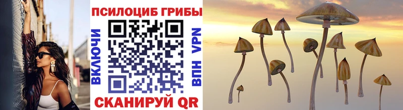 Галлюциногенные грибы Cubensis  купить наркоту  Туймазы 