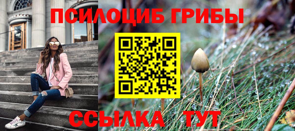 Галлюциногенные грибы Magic Shrooms  Псилоцибиновые грибы GOLDEN TEACHER  Туймазы  Вход с VPN 